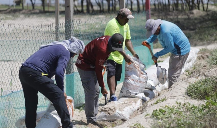 REFUERZA COMISIÓN DE PARQUES PROTECCIÓN EN CAMPOS TORTUGUEROS DE&nbsp;TAMAULIPAS