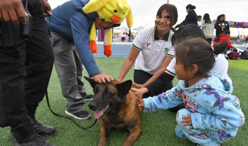 RECONOCE SSPT LABOR DE ELEMENTOS&nbsp;CANINOS