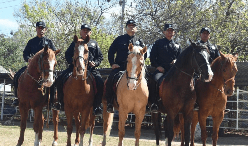 AGRUPAMIENTO MONTADO DE LA GUARDIA ESTATAL MANTIENE PROXIMIDAD&nbsp;PERMANENTE