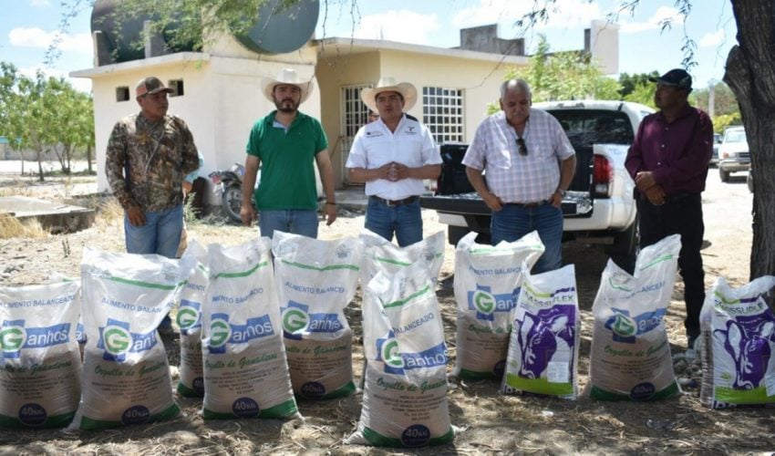 PRODUCTORES DE GONZÁLEZ RECIBEN SUPLEMENTOS ALIMENTICIOS PARA EL&nbsp;GANADO