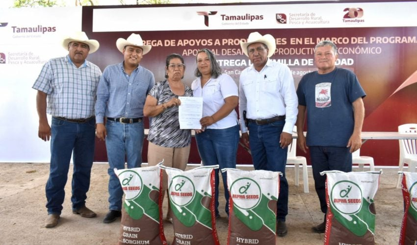 Impulsa Tamaulipas siembra de sorgo y maíz con la entrega de semilla de&nbsp;calidad