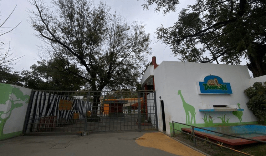 Ante las bajas temperaturas cierran Zoo y Parque Tamatán martes y&nbsp;miércoles