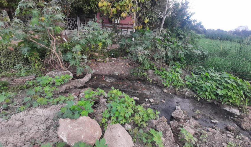 Interviene la PAUT ante presunto relleno de la Laguna Tierra Negra de&nbsp;Madero