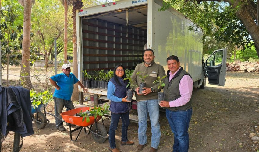 Avanza Nuevo Laredo hacia un entorno más verde y&nbsp;sustentable